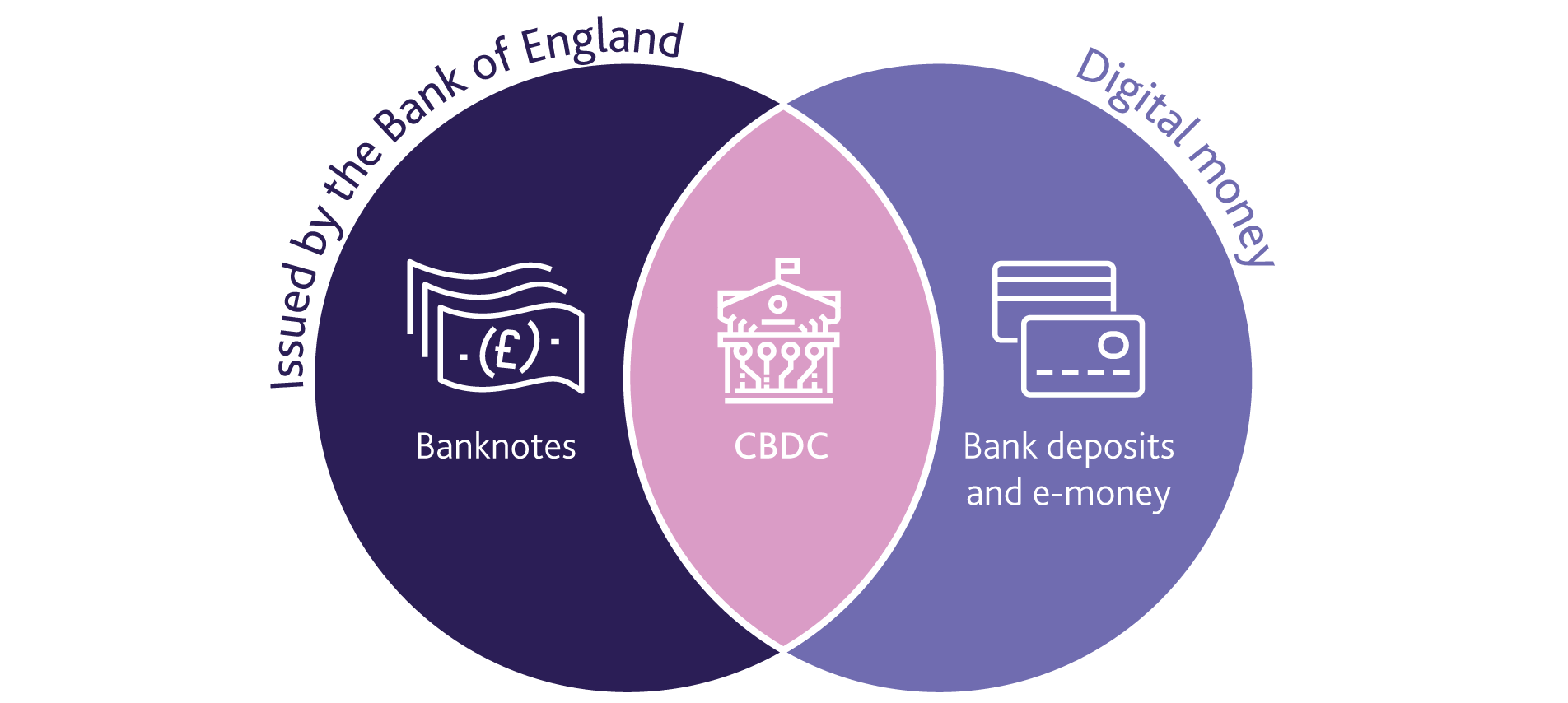 Central Bank Digital Currency