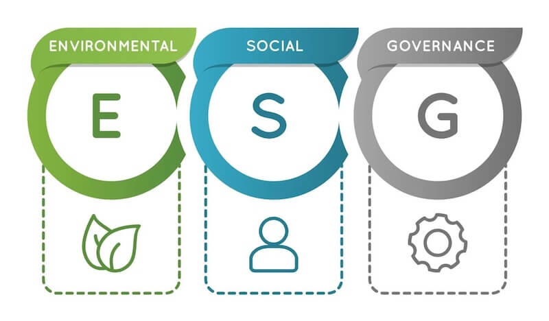 The Role of ESG Criteria and Metrics in Financial Decision-Making